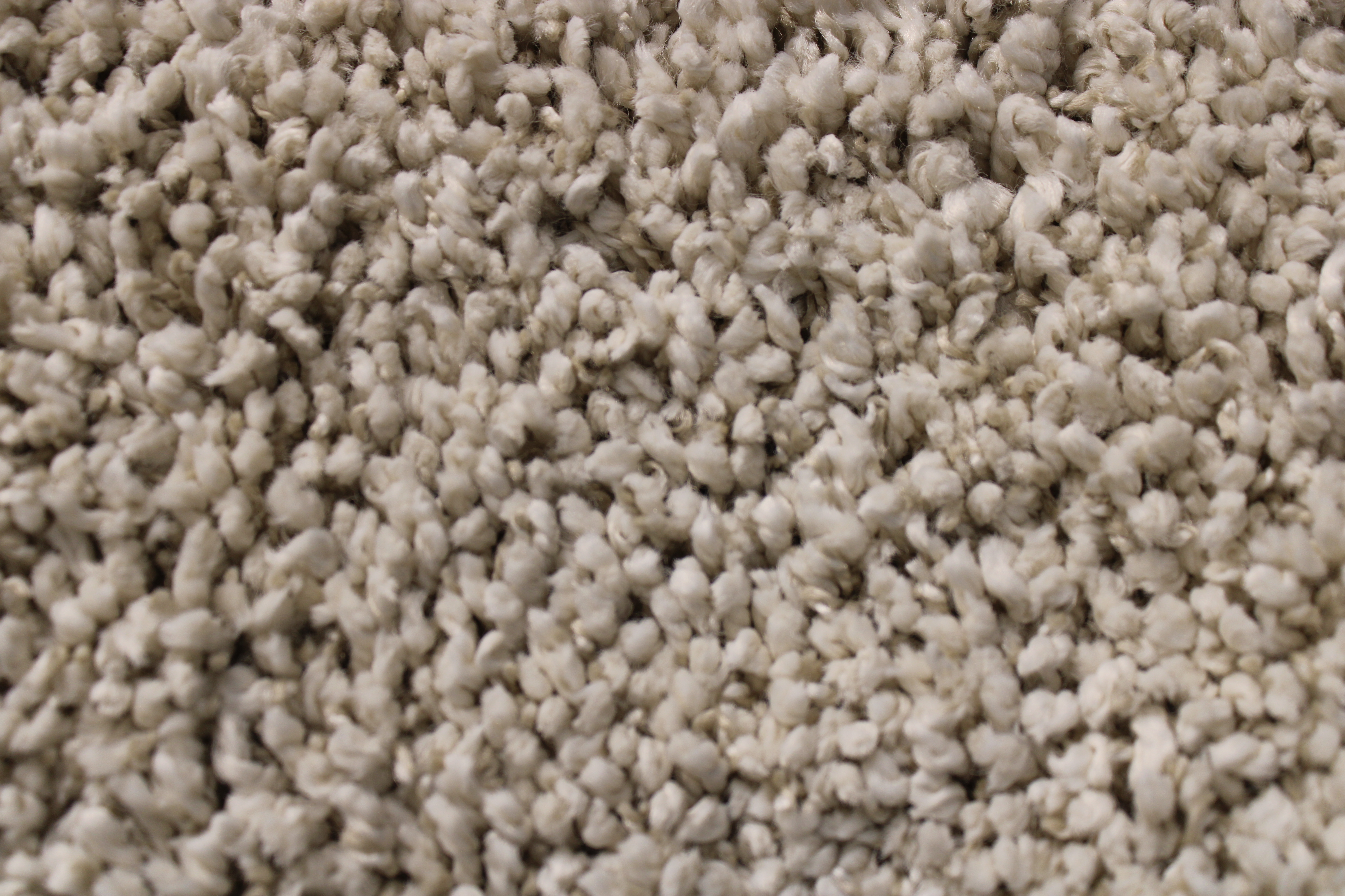 Tawny Beige Shag Rug 